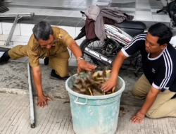 KORVE Jateng Asri Kecamatan Ulujami Dorong Kepedulian Lingkungan Melalui Aksi Bersih-Bersih