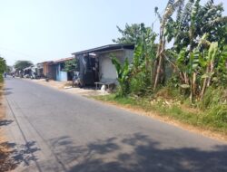 Tanah Bengkok Desa Surajaya di Mengori Disorot, Kades Wasno Bantah Tarik Sewa dan Sebut Ada Iuran Rp700 Ribu per Kios
